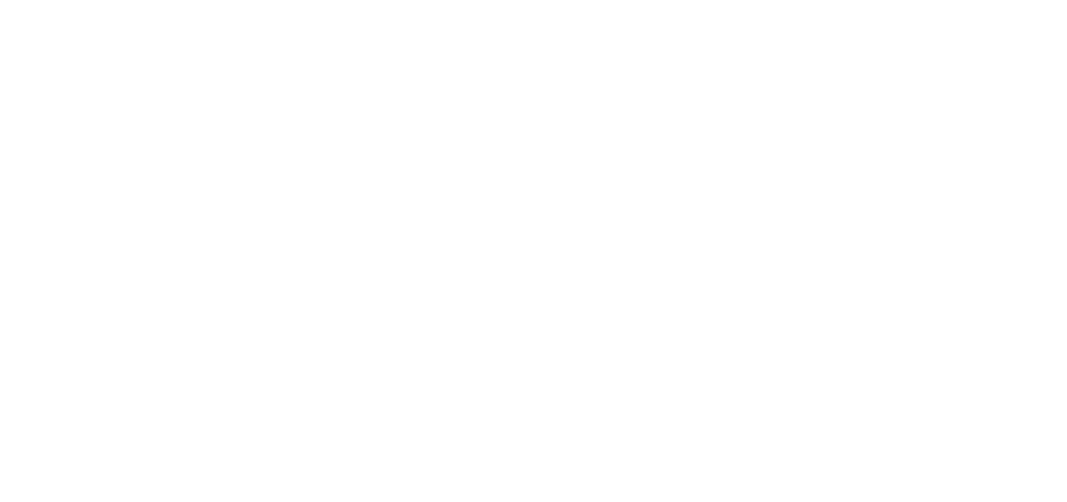Wise Investor